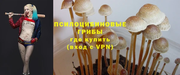 мдпв Осинники