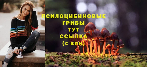МДПВ Верхнеуральск