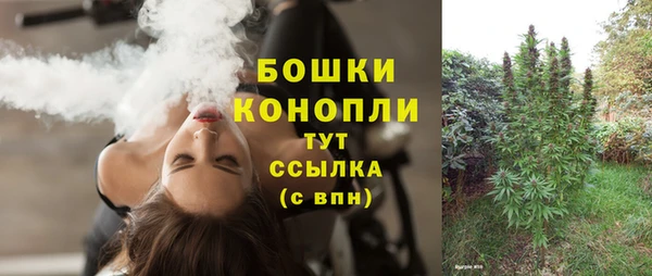 apvp Верея