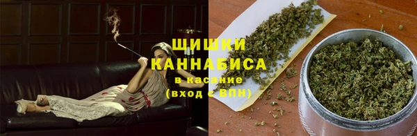 PSILOCYBIN Семилуки